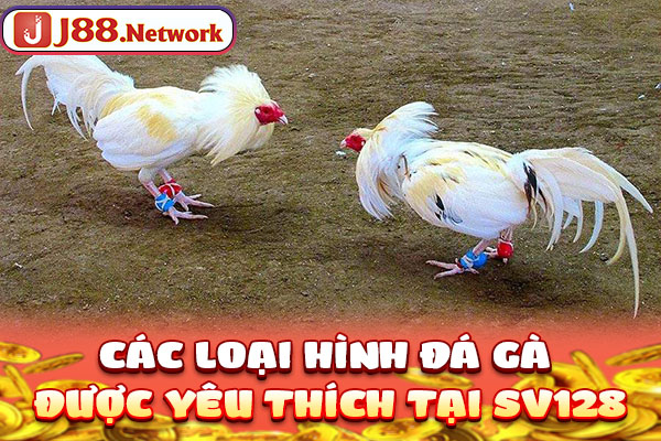 Đá Gà SV128 | Địa Điểm Chất Lượng Đáng Đầu Tư Nhất 2026 - Hexor Đá Gà SV128 | Địa Điểm Chất Lượng Đáng Đầu Tư Nhất 2026 - Hexor