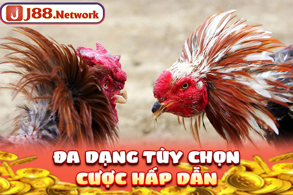 Đá Gà SV388 - Trường Đấu Đẳng Cấp, Số 1 Thị Trường Châu Á - Hexor