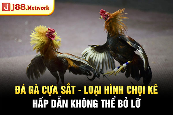 Đá Gà - Hexor