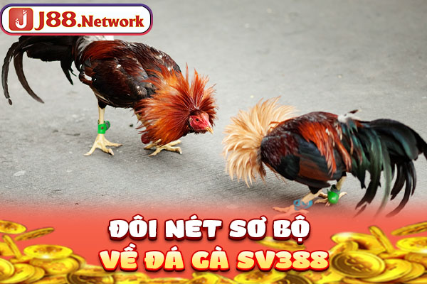 Đá Gà SV388 - Trường Đấu Đẳng Cấp, Số 1 Thị Trường Châu Á - Hexor