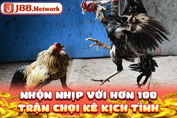 Đá Gà SV388 - Trường Đấu Đẳng Cấp, Số 1 Thị Trường Châu Á - Hexor