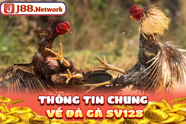 Đá Gà SV128 | Địa Điểm Chất Lượng Đáng Đầu Tư Nhất 2026 - Hexor Đá Gà SV128 | Địa Điểm Chất Lượng Đáng Đầu Tư Nhất 2026 - Hexor
