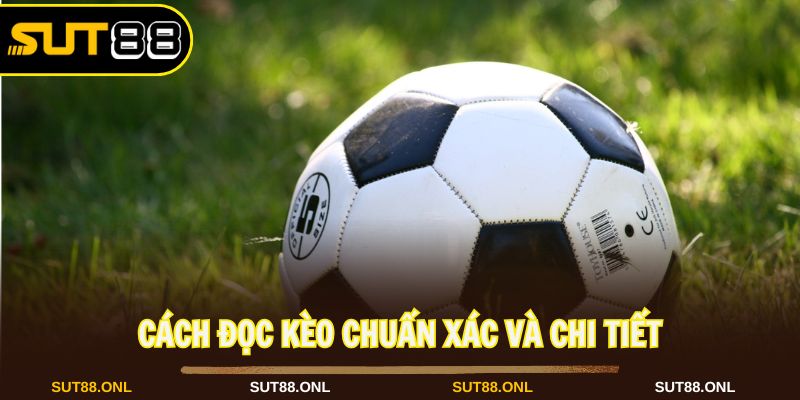 Kèo Châu Á: Khám Phá Hình Thức Cược Đặc Sắc Tại Sut88 2026 - hexor.live - Hexor