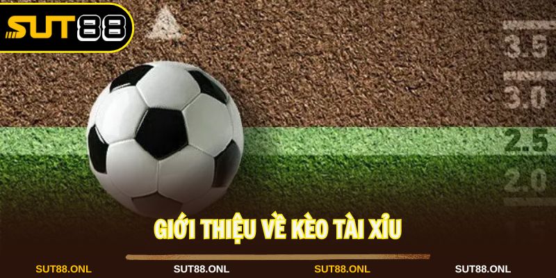 Kèo Tài Xỉu Sut88: Cách Đọc và Kinh Nghiệm Từ Cao Thủ 2026 - hexor.live - Hexor