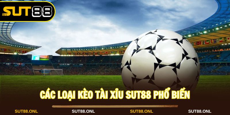 Kèo Tài Xỉu Sut88: Cách Đọc và Kinh Nghiệm Từ Cao Thủ 2026 - hexor.live - Hexor