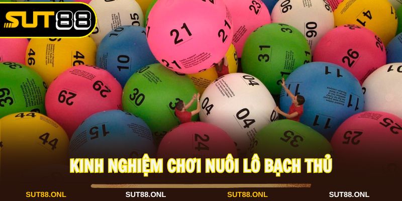 Nuôi Lô Bạch Thủ: Cách Chơi An Toàn Hiệu Quả Cùng Sut88 - hexor.live - Hexor