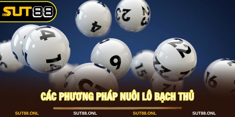 Nuôi Lô Bạch Thủ: Cách Chơi An Toàn Hiệu Quả Cùng Sut88 - hexor.live - Hexor