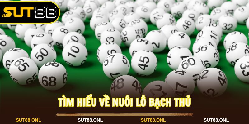 Nuôi Lô Bạch Thủ: Cách Chơi An Toàn Hiệu Quả Cùng Sut88 - hexor.live - Hexor