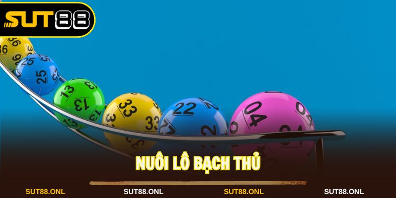 Lưu trữ Xổ Số Sut88: Sân Chơi Quay Thưởng Hấp Dẫn Và Đa Dạng 2026 - hexor.live - Hexor