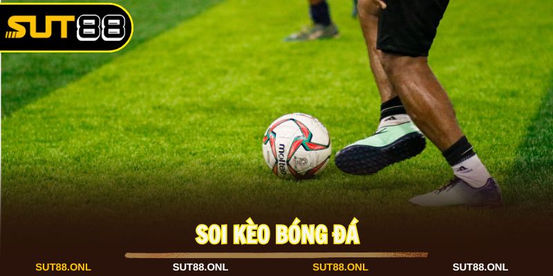 Soi Kèo Bóng Đá Chuẩn Xác Mang Về Thắng Lớn Tại Sut88 2026 - hexor.live - Hexor