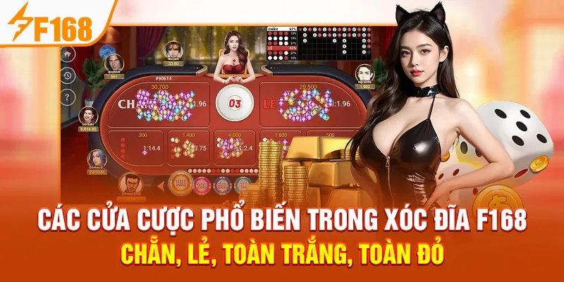 Trải Nghiệm Xóc Đĩa F168: Luật Chơi, Cược & Chiến Thuật - Hexor