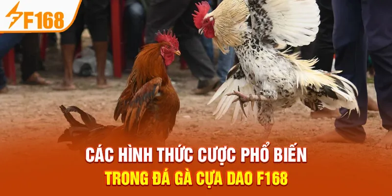 Đá Gà Cựa Dao Tại F168 – Luật Chơi, Cá Cược & Mẹo Thắng Lớn - Hexor