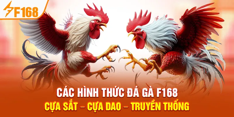 Đá Gà F168 Minh Bạch: Cược An Toàn, Rút Thưởng Siêu Tốc - Hexor