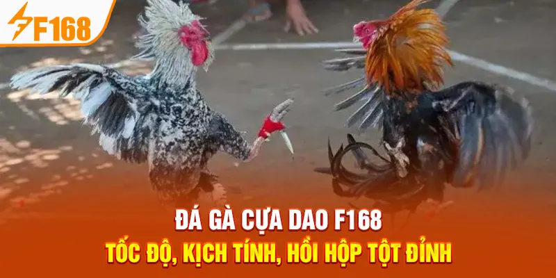 Đá Gà F168 Minh Bạch: Cược An Toàn, Rút Thưởng Siêu Tốc - Hexor