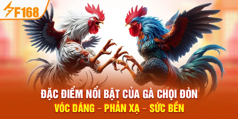 Đá Gà Đòn tại F168: Luật Chơi, Đặc Điểm & Bí Quyết Cá Cược - Hexor