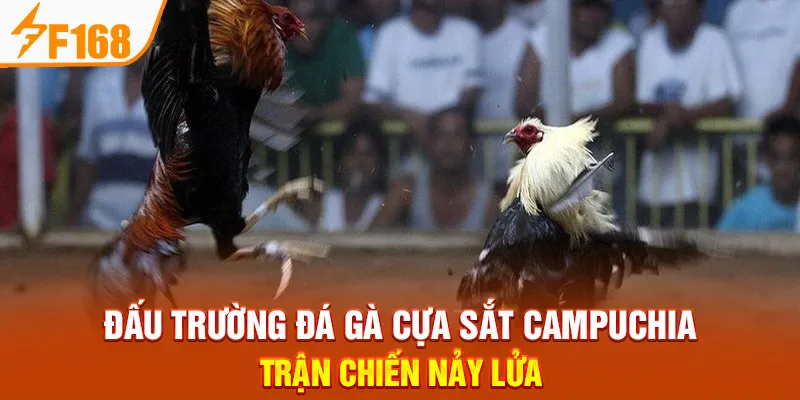 Đá Gà F168 Minh Bạch: Cược An Toàn, Rút Thưởng Siêu Tốc - Hexor
