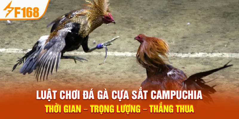 Đá Gà Cựa Sắt Campuchia Tại F168 – Luật Chơi & Mẹo Thắng Lớn - Hexor