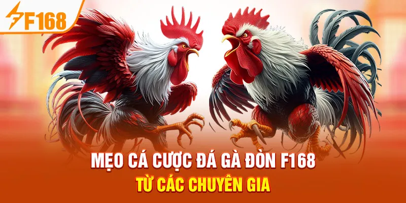 Đá Gà Đòn tại F168: Luật Chơi, Đặc Điểm & Bí Quyết Cá Cược - Hexor