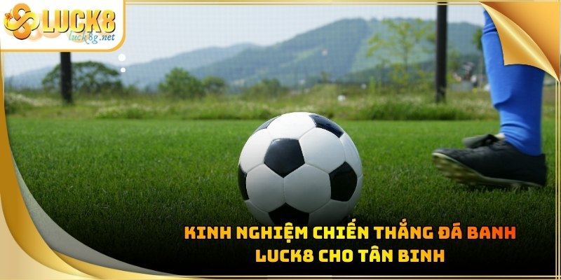 Đá Banh Luck8 - Tham Gia Cá Độ Bóng Đá Cực Dễ Năm 2026 - Hexor
