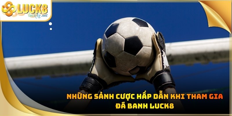 Đá Banh Luck8 - Tham Gia Cá Độ Bóng Đá Cực Dễ Năm 2026 - Hexor