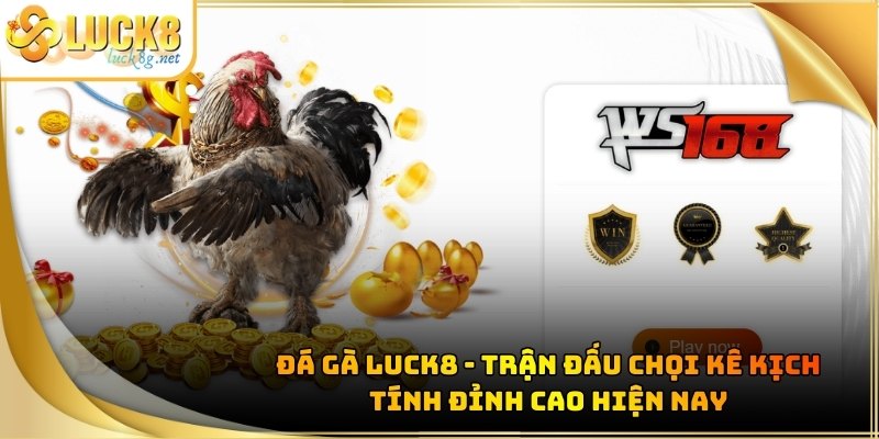 Đá Gà Luck8 - Trận Đấu Chọi Kê Kịch Tính Đỉnh Cao Hiện Nay - Hexor