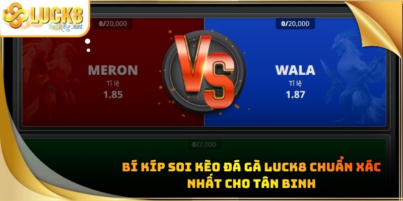 Đá Gà Luck8 - Trận Đấu Chọi Kê Kịch Tính Đỉnh Cao Hiện Nay - Hexor