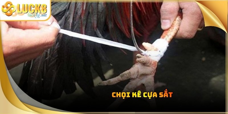 Đá Gà Luck8 - Trận Đấu Chọi Kê Kịch Tính Đỉnh Cao Hiện Nay - Hexor